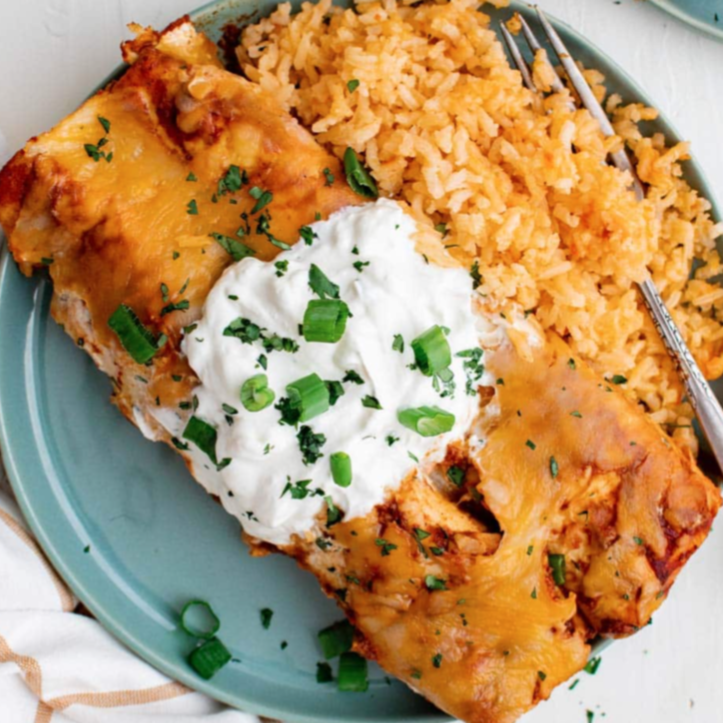 Birria Chicken Enchiladas