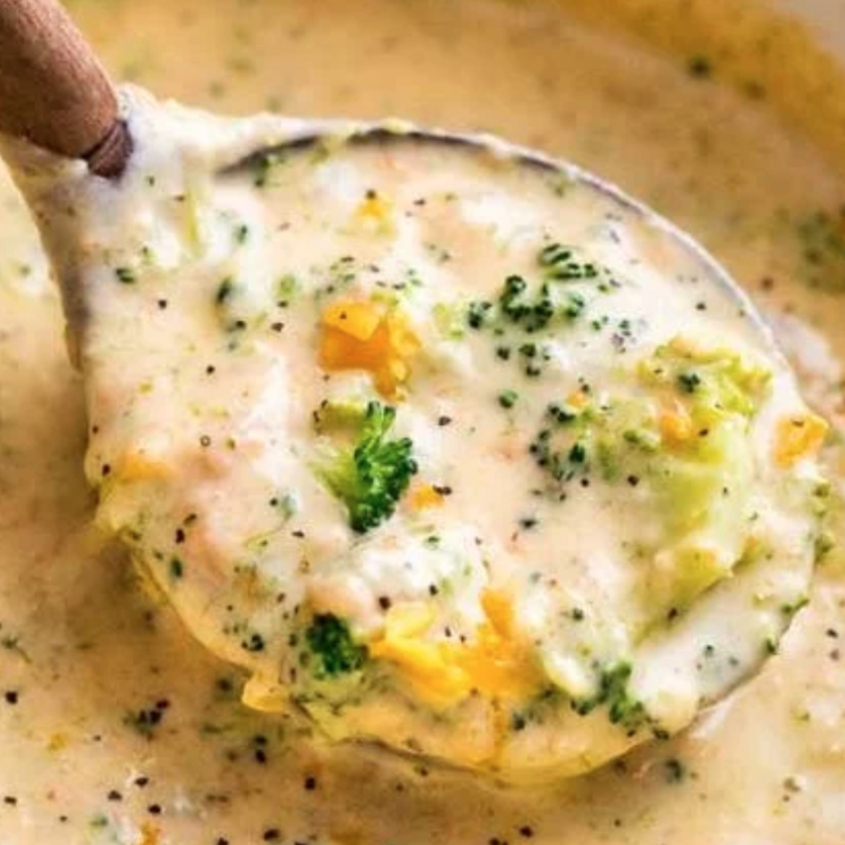 Broccoli & Cheddar Soup